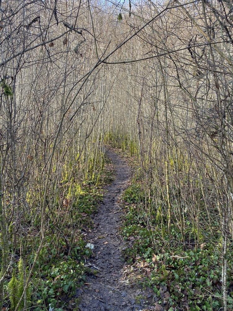 découverte de ce très beau sentier. découverte de ce très beau sentier.