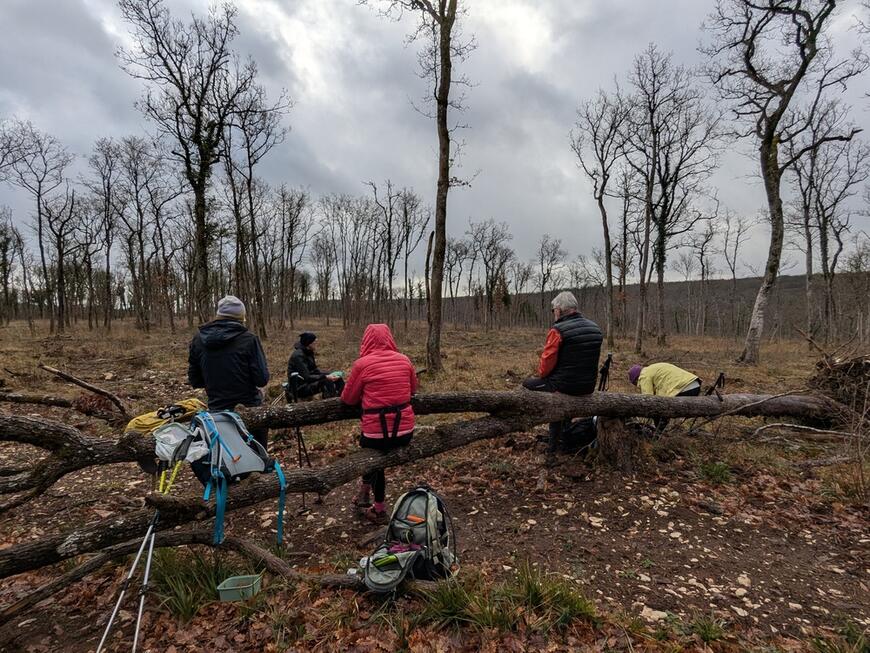 Pause déjeuner Pause déjeuner