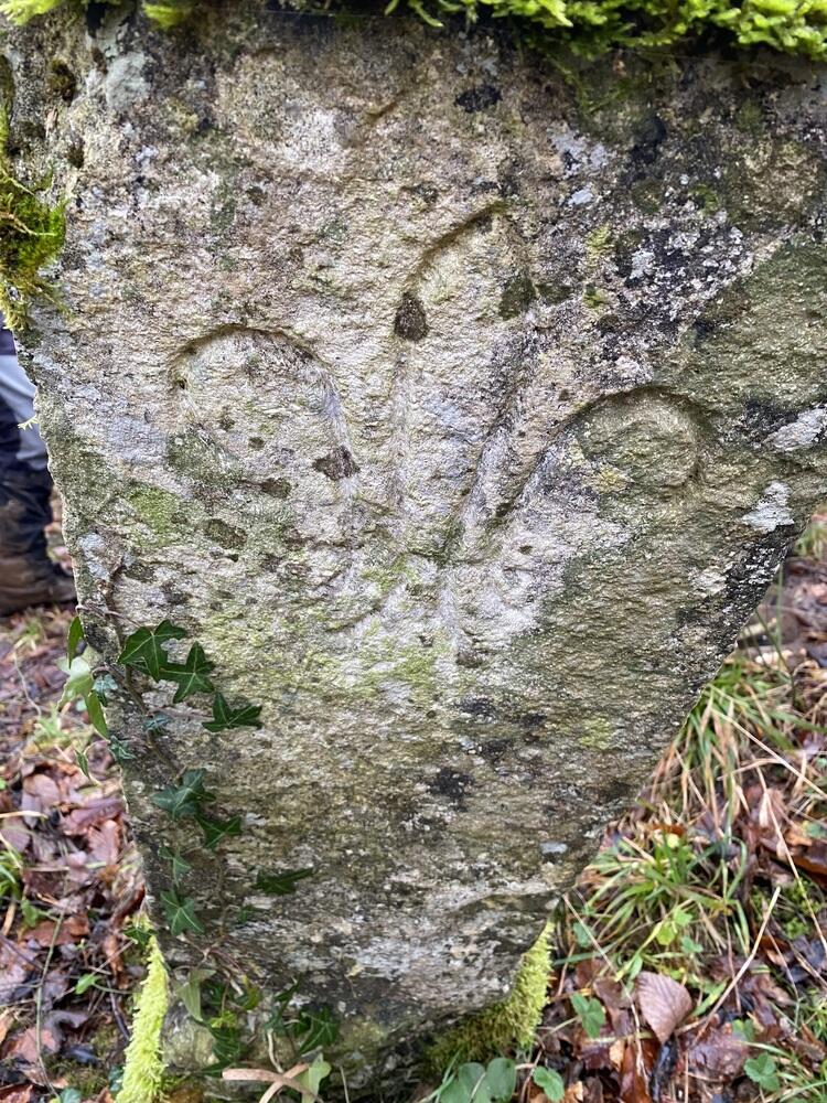 Fleur de LYS Fleur de LYS