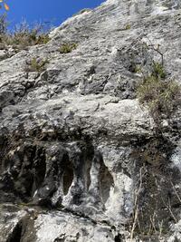 on continue on continue