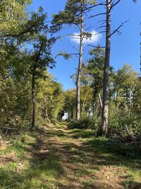 Et cette allée sous ce beau soleil ? Et cette allée sous ce beau soleil ?