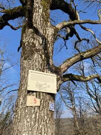 ouf ! un peu de lecture pour nous reposer de la montée. ouf ! un peu de lecture pour nous reposer de la montée.