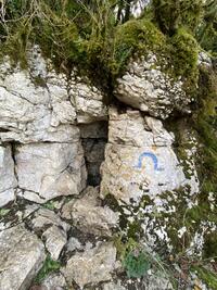 la boite aux lettres ! la boite aux lettres !